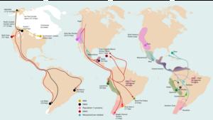 Three major dispersals shaped the genetic diversity of the indigenous peoples of South America.