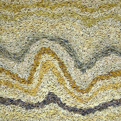 Rice Diversity