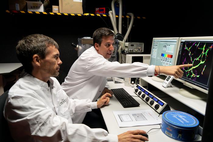 CNIO researchers Pedro García-Gómez and Manuel Valiente