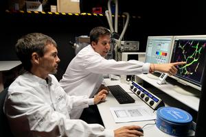 CNIO researchers Pedro García-Gómez and Manuel Valiente