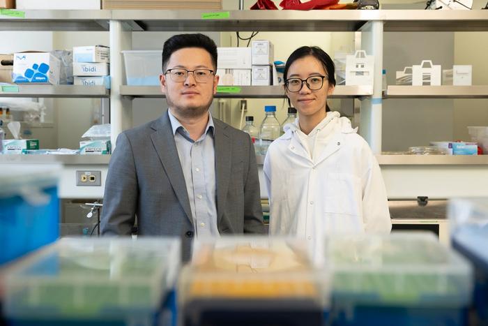 Zongmin Zhao and Luyu Zhang