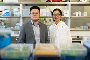 Zongmin Zhao and Luyu Zhang