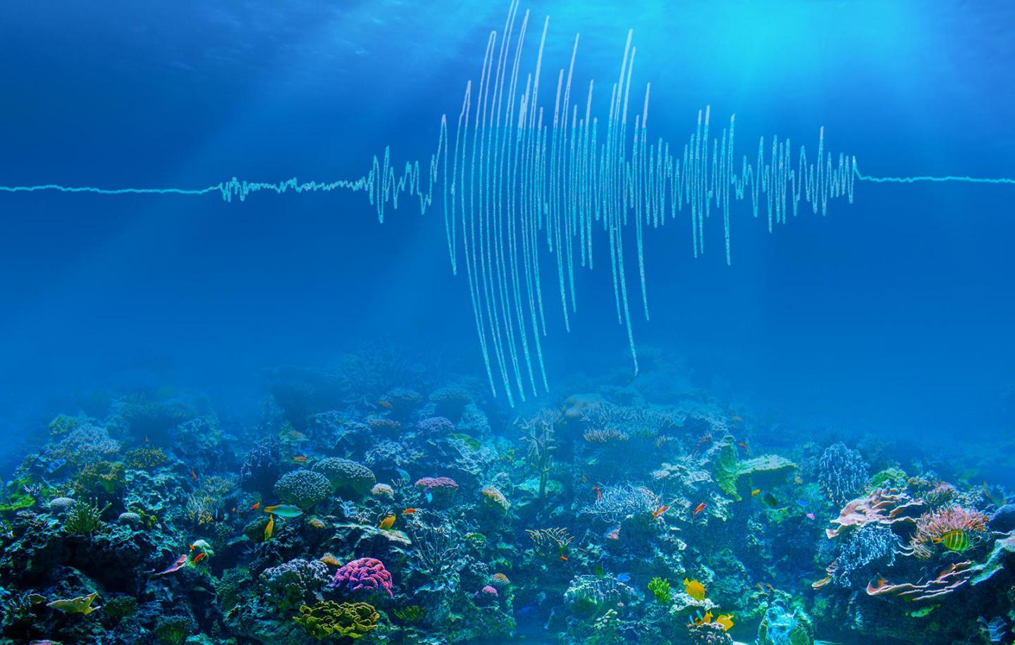 Ocean earthquakes