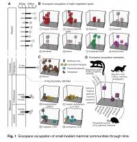 Eco-cells and Ecospace