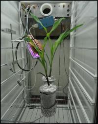 Radioisotope Tracer Administration