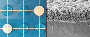 Hydrogels and image of a hydrogel surface