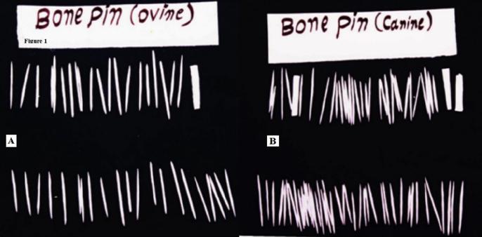 Bone Pins