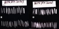 Bone Pins
