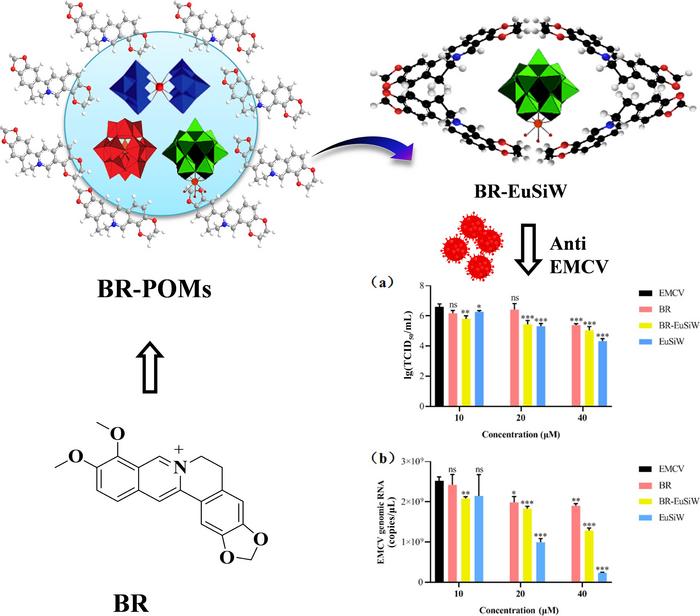 BR-EuSiW from Organic-POMs complexes (BR-POMs) shows betteranti-encephalomyocarditis virus activity.