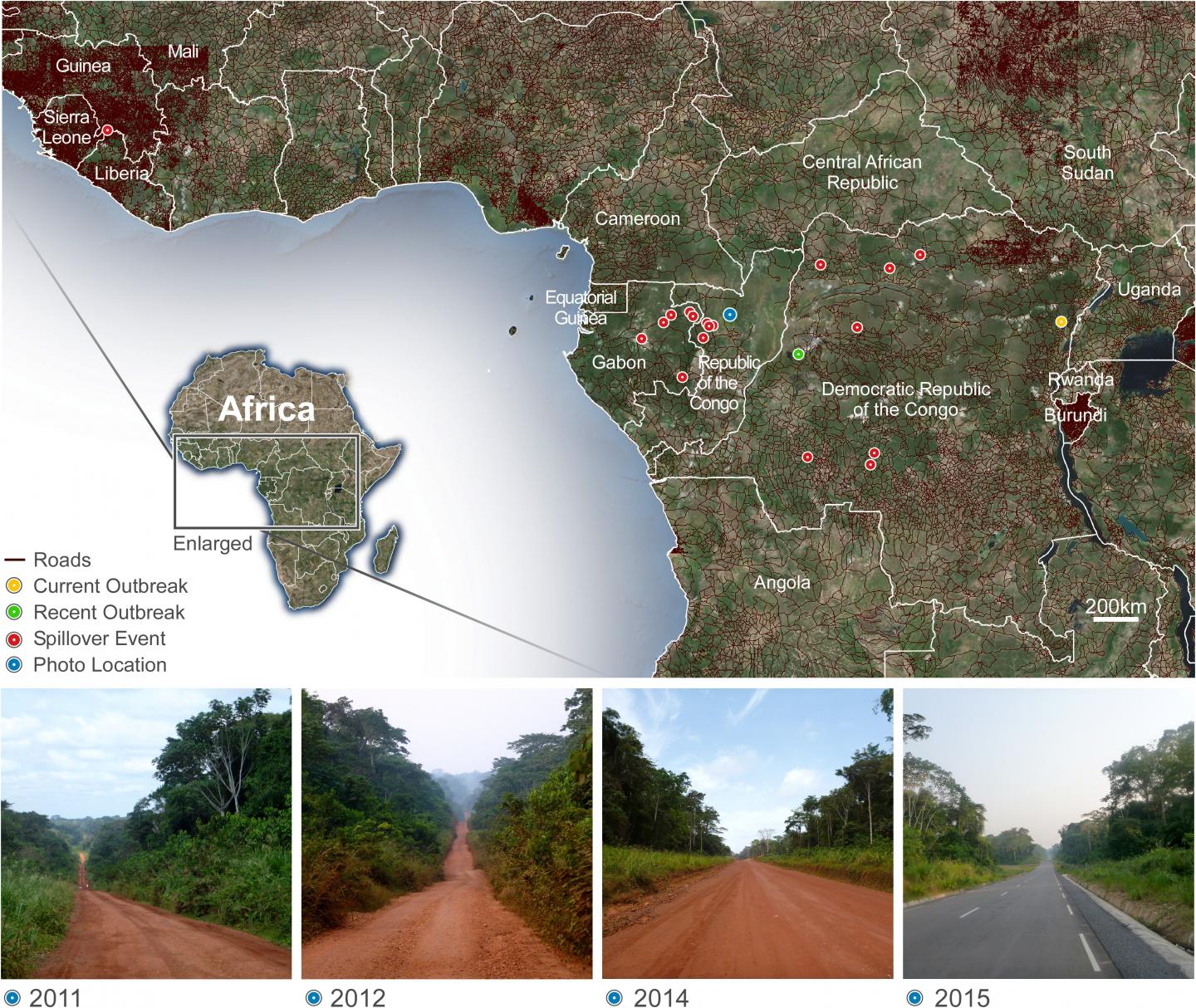 Map Illustrating Areas of Primary Human Infections of Zaire Ebolavirus and the Density of Roads