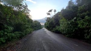 Type locality of Lissomus arawak in Pedernales province