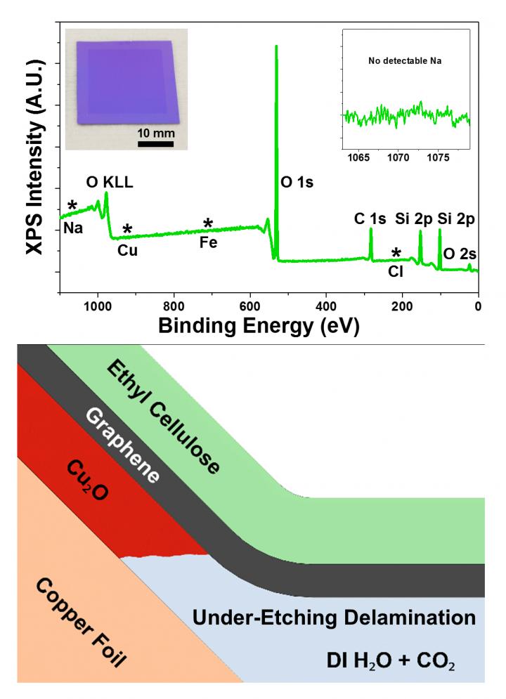 Combination with Ethanol 