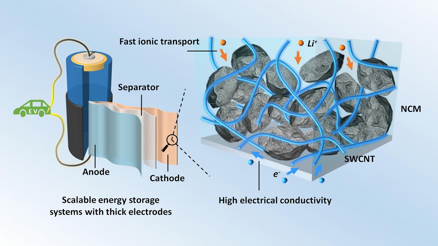 Thick electrodes with single-walled carbon nanotubes