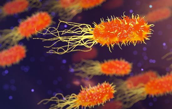 HGT Is Very Important In Microbial Evolution, Especially For The Evolution Of Antibiotic Resistance 