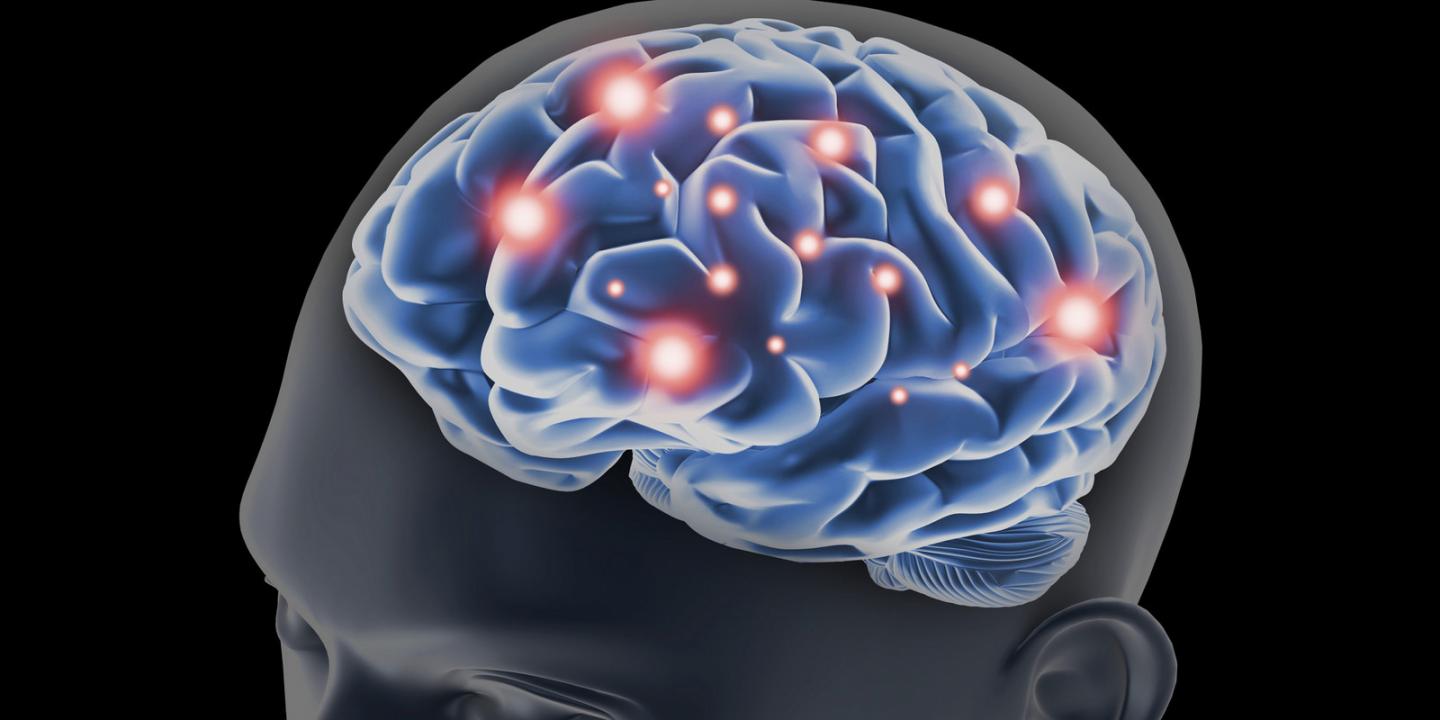 Dopamine Neurons Contribute to Memory Formation