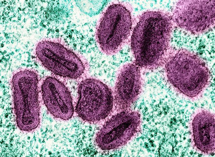 An Integrated Intervention Strategy for Effective Mpox Transmission Control