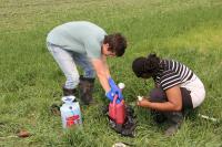 Setting up Blue Dye Sprayer