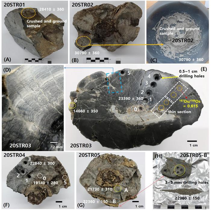 Stromatolite Samples and Radiocarbon ages