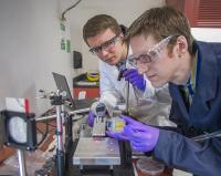 Scientists at CFN