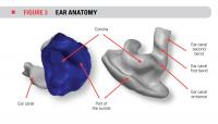Figure 2 -Ear Anatomy