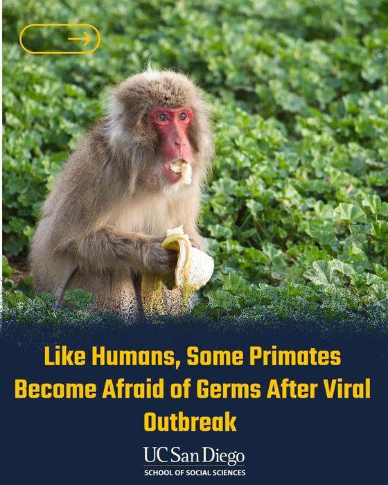 Like Humans, Some Primates Become Cautious of Germs in the Wake of a Viral Outbreak
