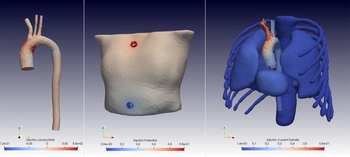 Changes in the electric fields can be precisely analysed in the simulations.