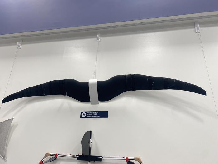 Bird-inspired glider wing