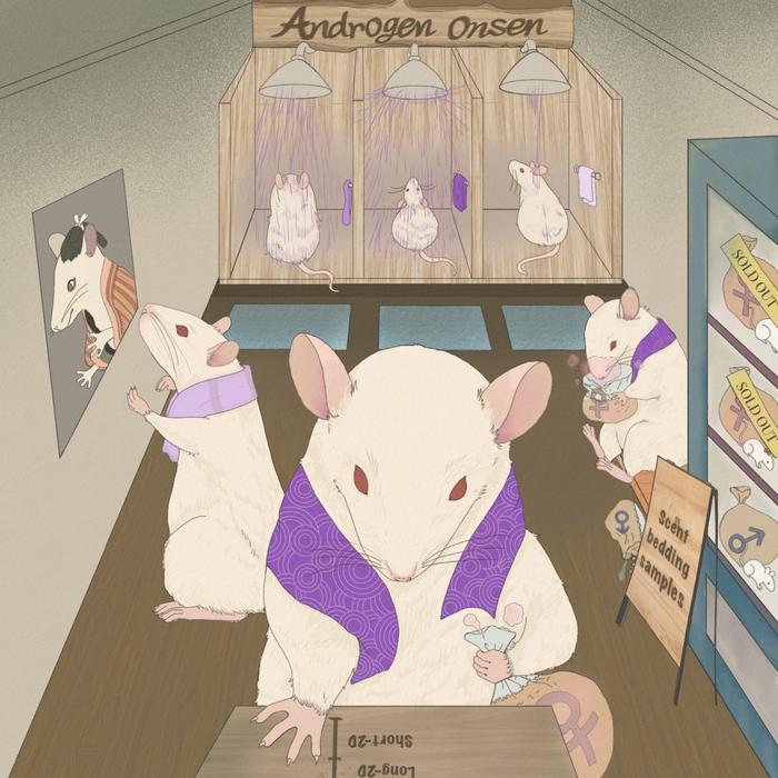 Smaller 2D:4D Digit Ratio in Male Rats Linked to Stronger Sexual Drive and Preference Towards Females