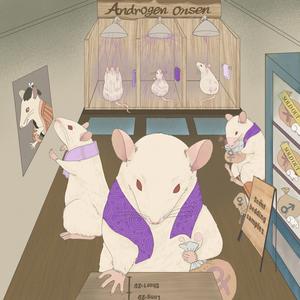 Smaller 2D:4D Digit Ratio in Male Rats Linked to Stronger Sexual Drive and Preference Towards Females