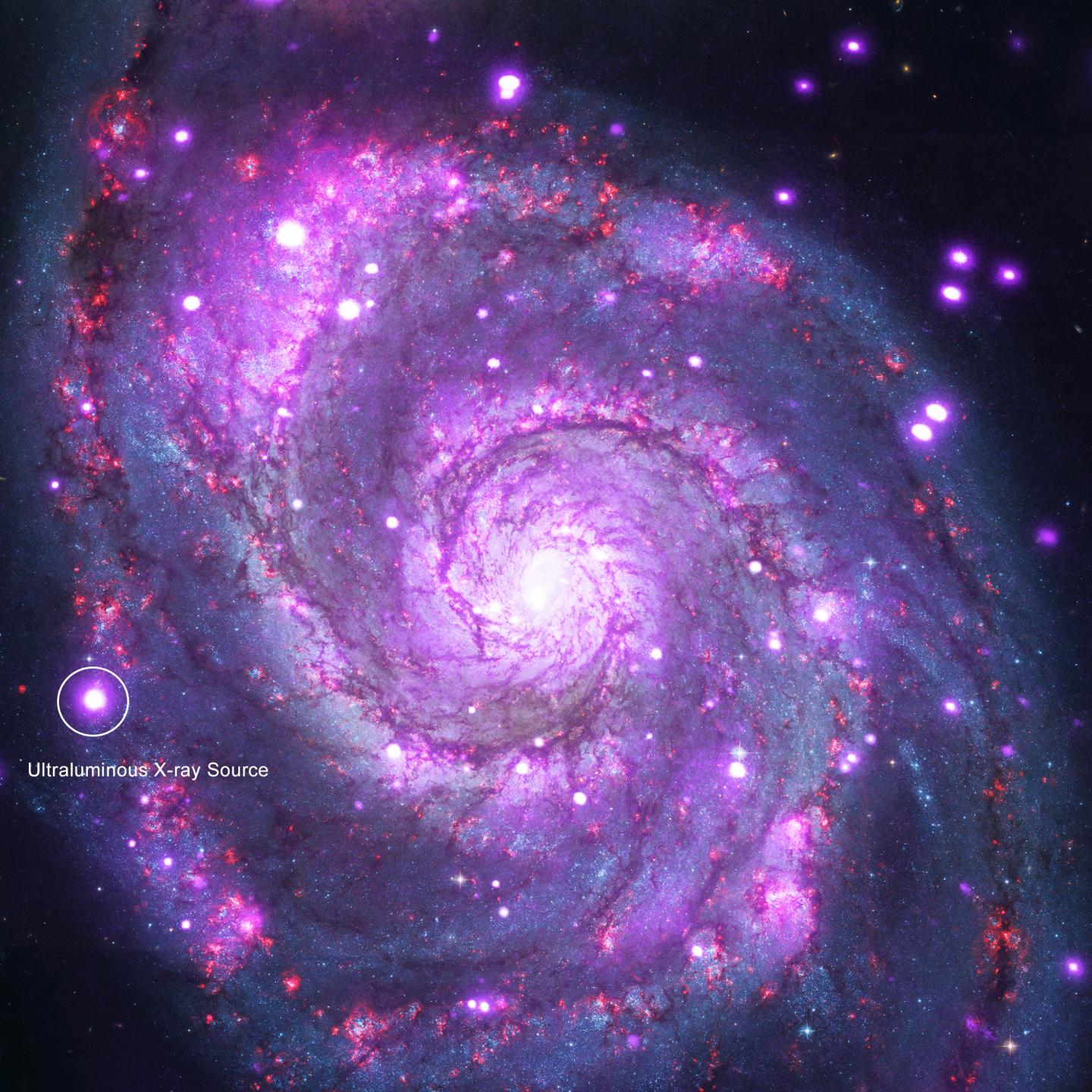 Whirlpool Galaxy