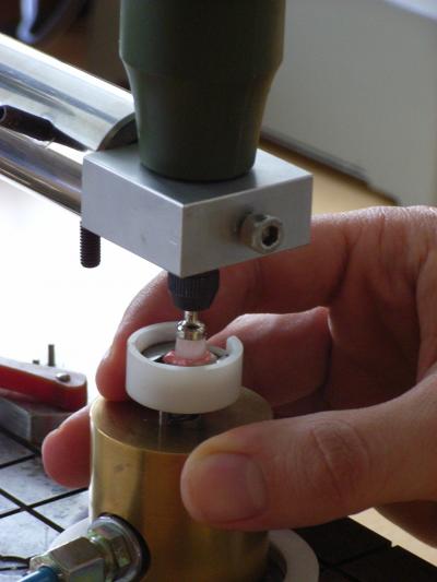 Polished to Perfection