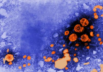 Hepatitis