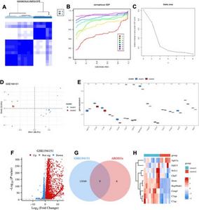 HFpEF subtype identification based on the ARDEG diagnostic model.