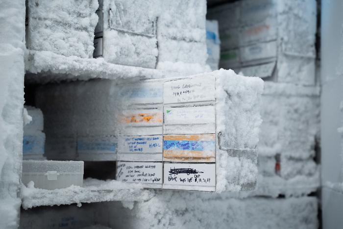 -80C Freezer