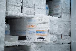 -80C Freezer