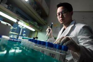 Research reveals structural mechanism behind anti-epilepsy therapies