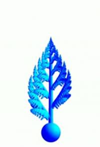 Animation of the Growth and Development of the Extinct Rangeomorph