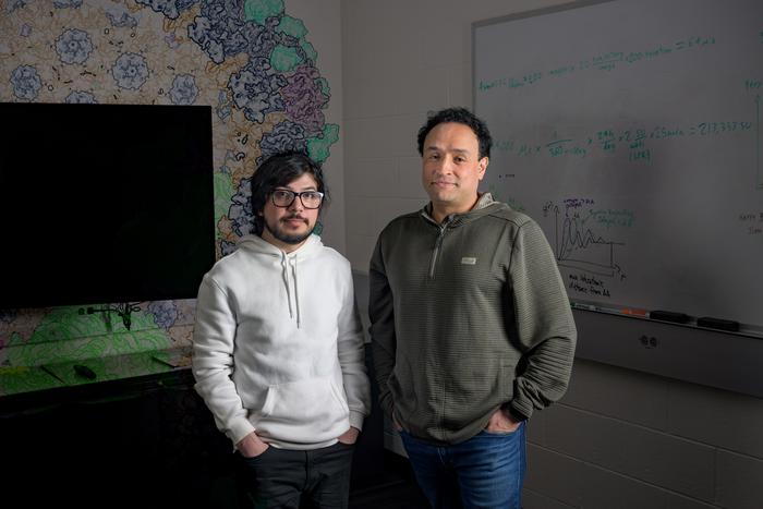 Trying to stop a virus in its tracks