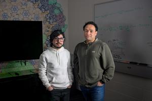 Trying to stop a virus in its tracks