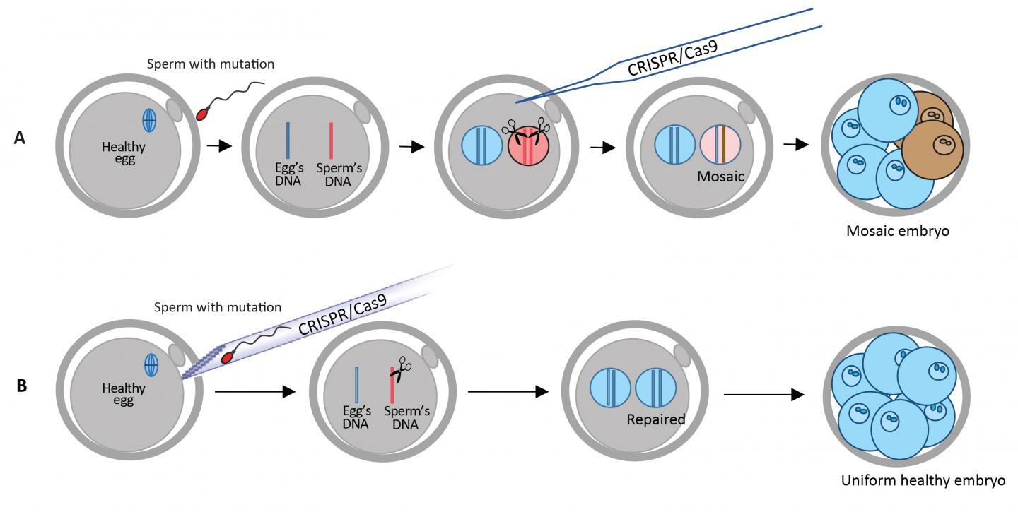 The Technique at a Glance