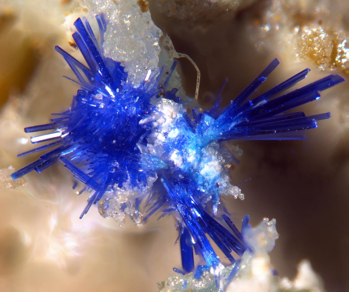 31 New Carbon-Bearing Minerals Found in Four Years