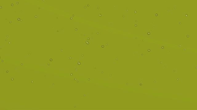 MicroRNA Extraction Using Nanowires