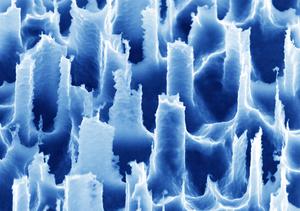 Electron Microscope Image