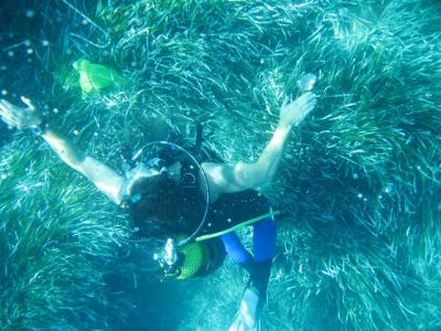 Researchers Sample Posidonia in the Balearics