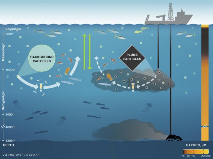 Illustration on midwater impacts