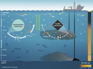 Illustration on midwater impacts
