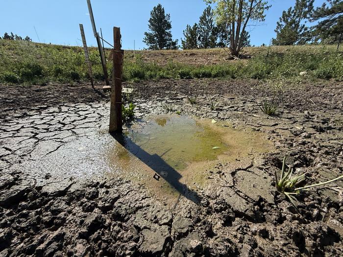 A pond in Shanahan Ridge in Boulder, CO