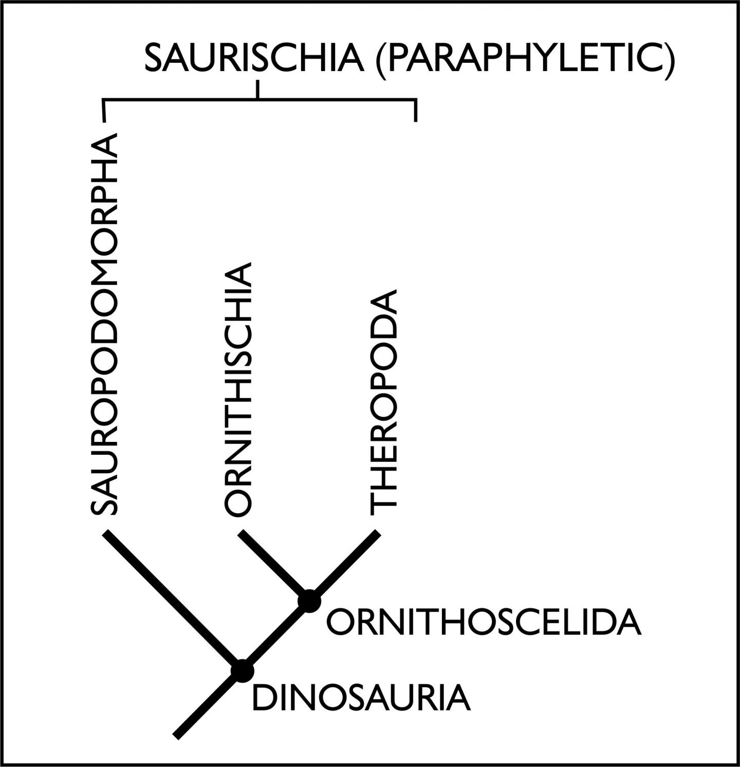 Figure 2: The New Family Tree Structure
