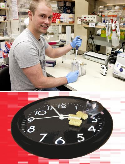 Feeding the Clock