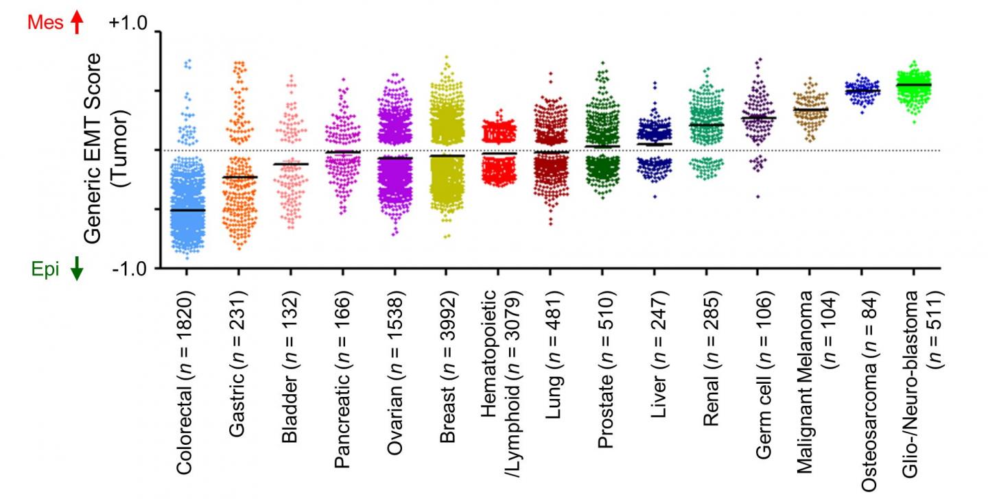 Epithelial-Mesenchymal Transition (EMT) Scoring System